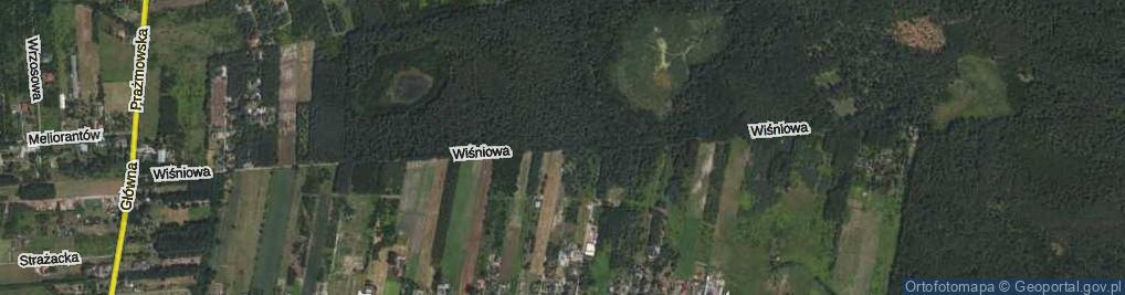 Zdjęcie satelitarne Wiśniowa ul.